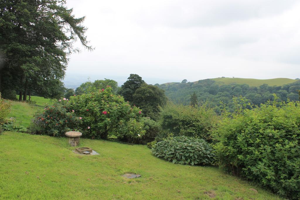 Glyn Arthur Lodge Llandyrnog Exterior foto